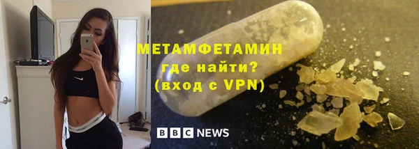 индика Новозыбков