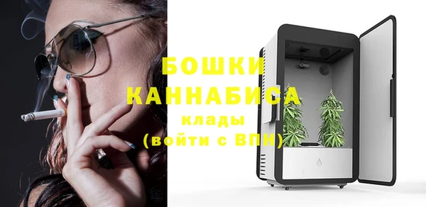 ГАЛЛЮЦИНОГЕННЫЕ ГРИБЫ Алзамай