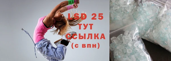 ГАЛЛЮЦИНОГЕННЫЕ ГРИБЫ Алзамай
