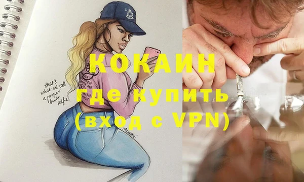 СК Новодвинск